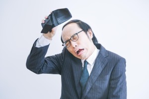 freee151108298700_TP_V