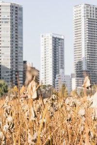 paks9v9a8690-thumb-autox1600-28497