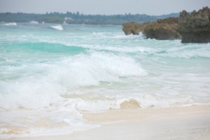 TSURU170321-177 mm-013_TP_V