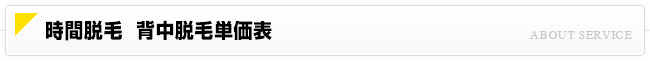 時間脱毛 背中脱毛価格一覧
