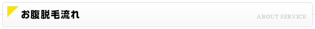 お腹（へそ）脱毛流れ