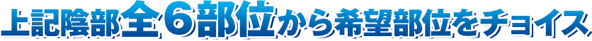 上記陰部全6部位から希望部位をチョイス