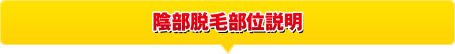 陰部脱毛部位説明
