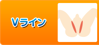 Vライン