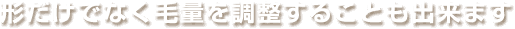 形だけでなく毛量を調整することも出来ます。