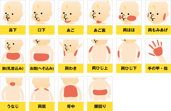 上半身 全16ヵ所合計