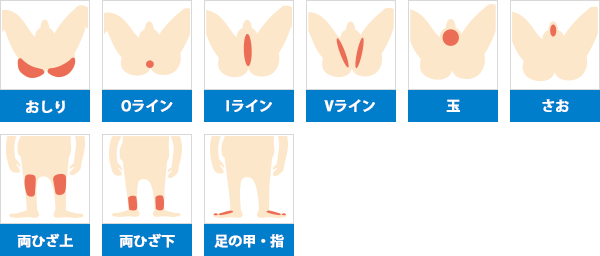下半身 全9ヵ所合計