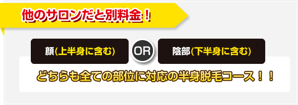 他のサロンだと別料金! 顔(上半身含む) or 陰部(下半身含む どちらも全ての部位に対応の半身脱毛コース!)
