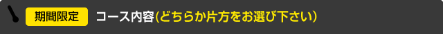 期間限定 コース内容(どちらか片方をお選び下さい)