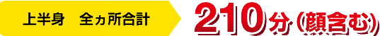 上半身 全ヵ所合計 210分(顔含む)