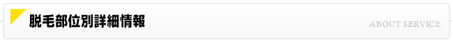 脱毛可能な24部位について