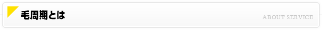 毛周期について
