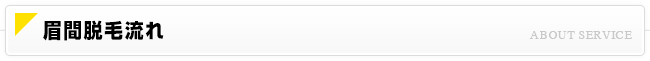 眉間脱毛流れ