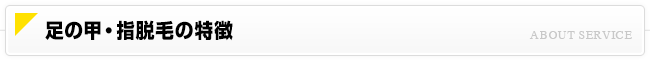 足の甲・指脱毛について