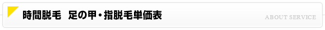 時間脱毛 足の甲・指脱毛価格一覧