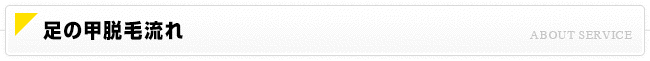 足の甲脱毛流れ