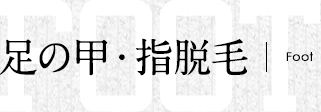 足の甲・指脱毛