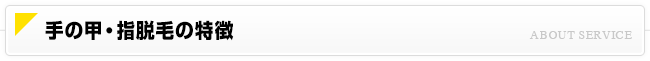 手の甲・指脱毛について