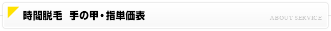 時間脱毛 手の甲・指脱毛価格一覧