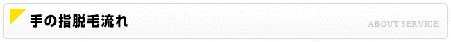 手の指脱毛流れ