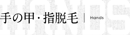 手の甲・指脱毛