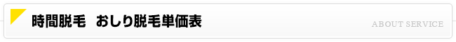 時間脱毛 おしり脱毛価格一覧