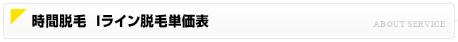 時間脱毛 Iライン脱毛価格一覧