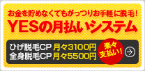 YESの月払いシステム