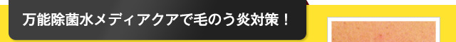 万能除菌水メディアクアで毛のう炎対策!