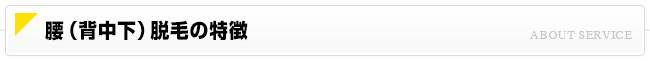 腰脱毛について