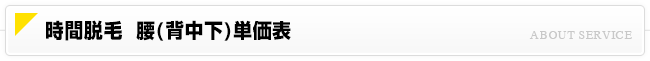 時間脱毛 腰・背中下脱毛価格一覧