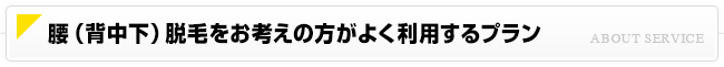 オススメの腰・背中下脱毛プラン