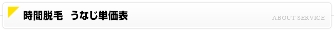 時間脱毛 うなじ脱毛価格一覧