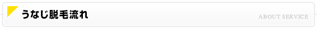うなじ脱毛流れ