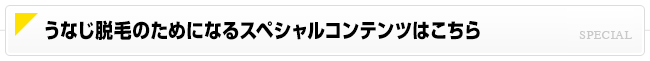 うなじ脱毛のためになるスペシャルコンテンツはこちら