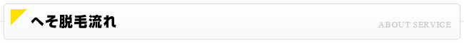お腹（へそ）脱毛流れ
