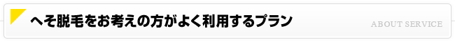 へそ脱毛をお考えの方がよく利用するプラン