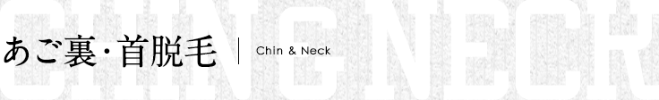 あご裏・首脱毛