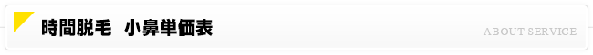 時間脱毛 小鼻単価表