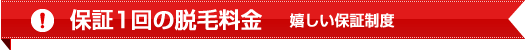 保証制度、保証1回の脱毛料金