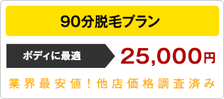 90分脱毛プラン