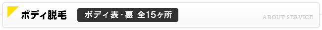 体の脱毛は全15ヶ所