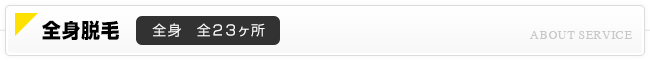 23ヶ所全身脱毛