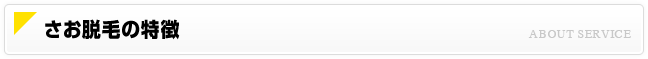 さお脱毛の特徴