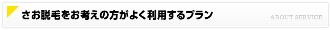 さお脱毛をお考えの方がよく利用するプラン