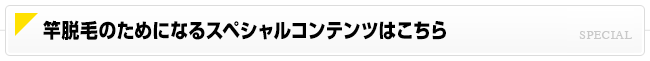 さお脱毛のためになるスペシャルコンテンツはこちら