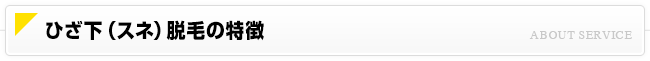 ひざ下（スネ）脱毛について