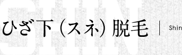 ひざ下（スネ）脱毛