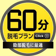陰部に最適の60分
