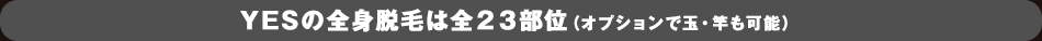 全２３部位の全身脱毛
